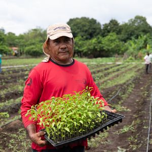 Provide a Farmer’s Irrigation System