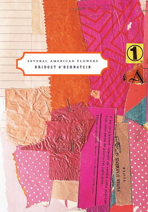 Several American Flowers by Bridget O'Bernstein