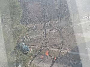 Nael JJ's Fundraiser