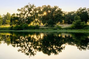 Spooky Family Evening Walk - October 18th, 2025 - Sumner Peck Ranch
