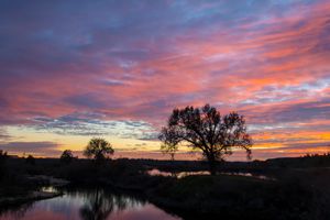 Painting Workshop - 12:30 pm - 2:00 pm