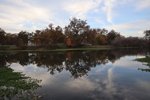 Donate to the San Joaquin River Parkway Operations and Maintenance Endowment