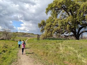 Nature Walk - 12:30 pm - 2:00 pm