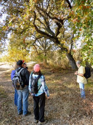Private Program - Nature Walk