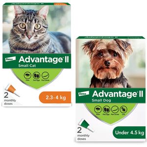 Advantage 2 Flea Treatment (6 month supply)
