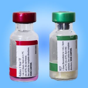 Feline Vaccination Package