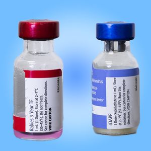 Canine Vaccination Package