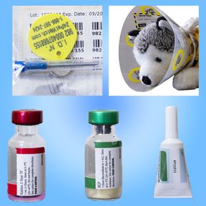 Complete Add-On Package