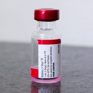 Rabies Vaccine
