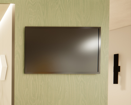 TV Screen