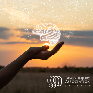 Webinar: Domestic Violence, Brain Injury and Substance Use