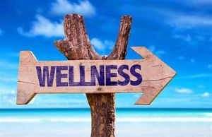 Webinar: Multi-Dimensions of Wellness