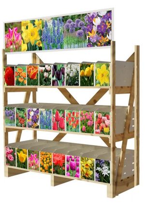 Tulip Bulb Sale **Opening soon** June 3 2023