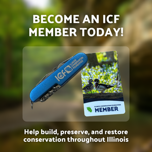 ICF Annual Membership