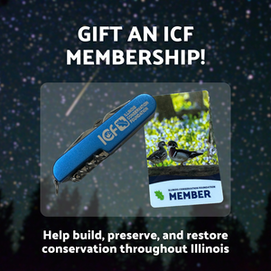 Gift an ICF Annual Membership