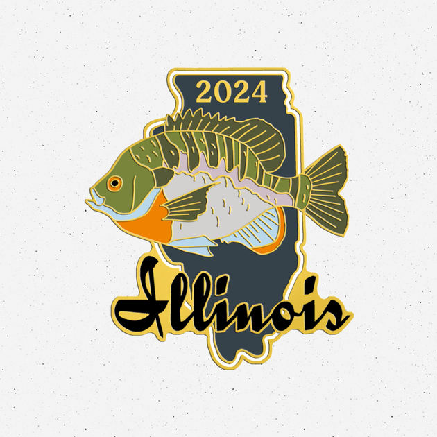 Bluegill — Illinois Conservation Foundation