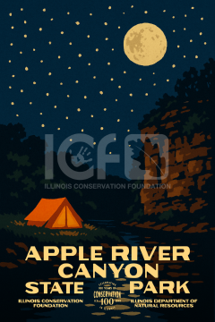 Apple River Canyon 20x30 Poster (Preorder)