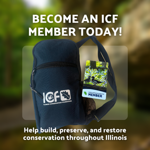 ICF Annual Membership