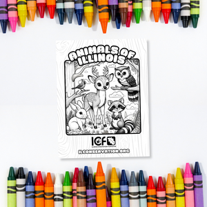 Animals of Illinois Coloring Book (Free Download)