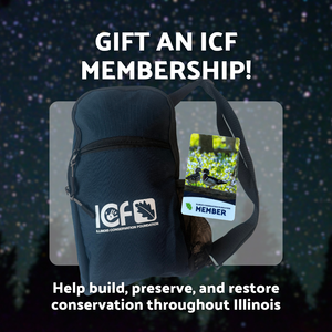 Gift an ICF Annual Membership