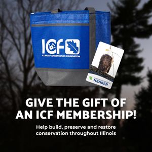 Gift an ICF Annual Membership