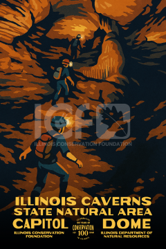 Illinois Caverns 20x30 Poster (Preorder)