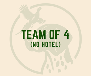 Team of 4 (No Hotel)