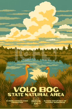 Volo Bog State Natural Area 20x30 Poster (Preorder)