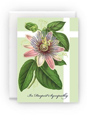 Soft Cover Passion Flower