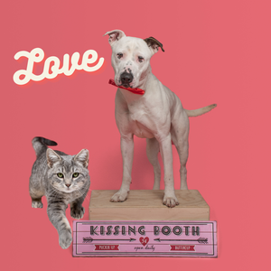 Happy Valentine's Day!