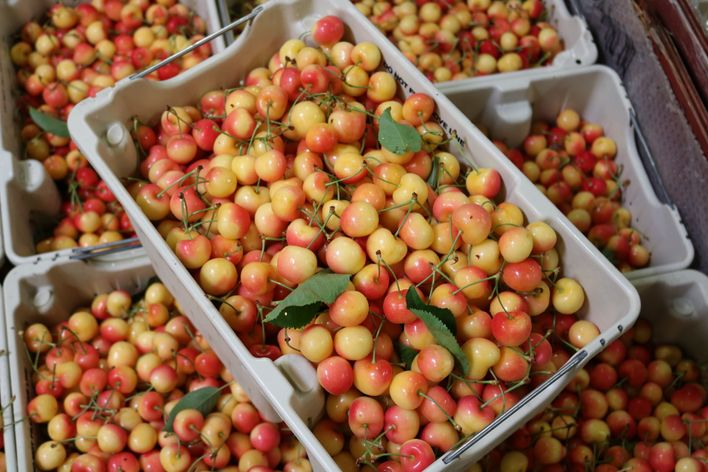 Order Xanax Online Overnight Frost Sale Express Delivery