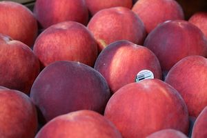 Order Tramadol Online Swift e-Store Fulfillment to Home