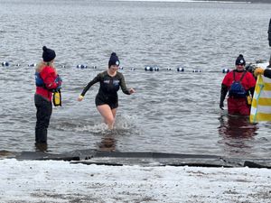 Lynne Wills' Fundraiser