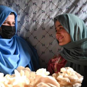 $3,500 — The Investment That Multiplies