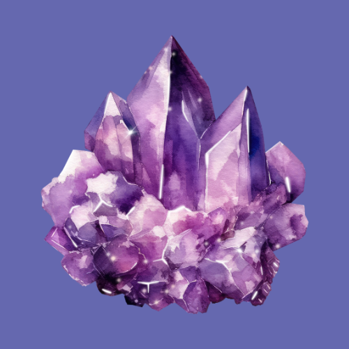 Women's FEST 2024 Amethyst Sponsor — CAMP Rehoboth