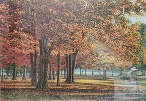 Autumn 1999