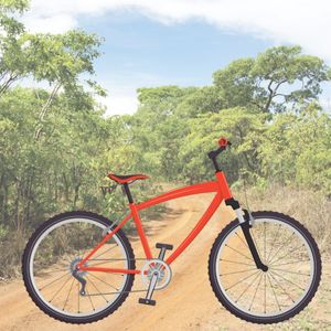 15. Bicycles for community educators - $135