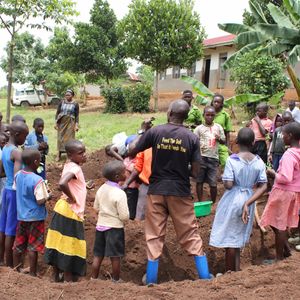 22. 10 tree seedlings and in Uganda - $40