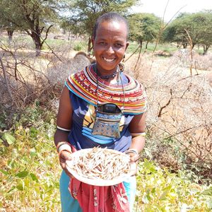 23. Seeds for women in Kenya - $20