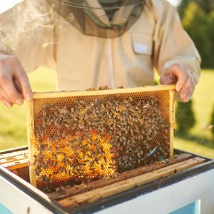 29. Beekeeping in Colombia - $120