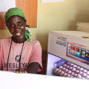 30. Egg incubator in Kenya - $50