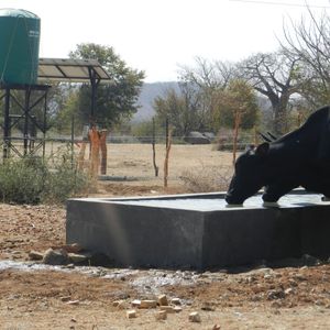 06. Borehole well in Zimbabwe - $100