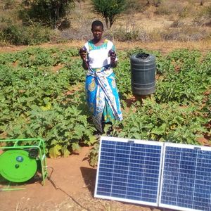 07. Solar-powered irrigation - $100
