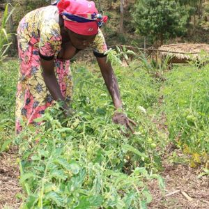 11. Garden Lover BUNDLE - $890