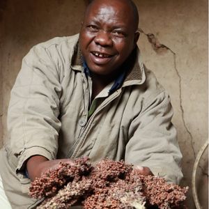 12. Farmer's Friend BUNDLE - $460