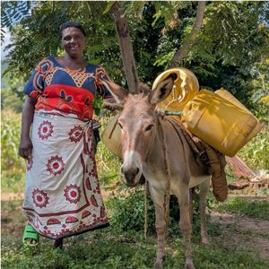 18. Donkeys in Kenya - $160