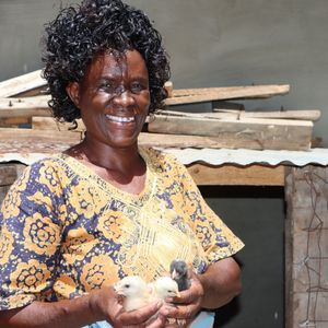 23. Poultry support in Kenya - $75