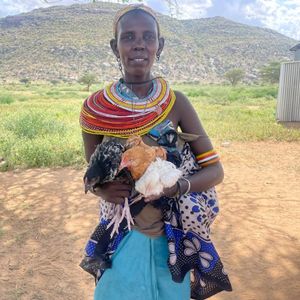 24. Chickens in Kenya - $25
