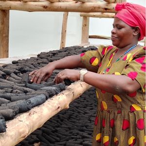 31. Fuel briquettes in Uganda - $45