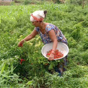 35. Emergency Response - $100